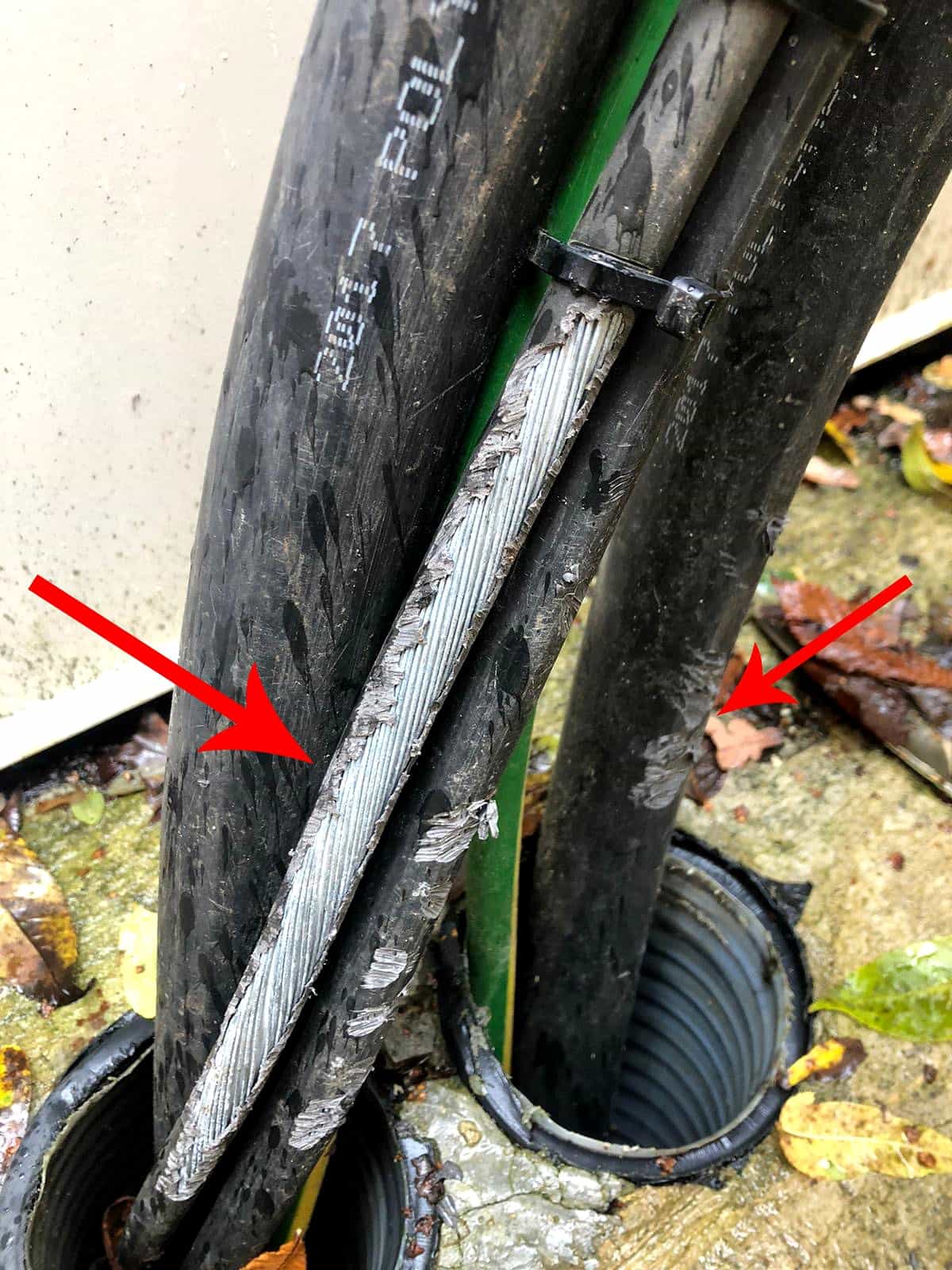 Power continuity exposed cables chewed by mice