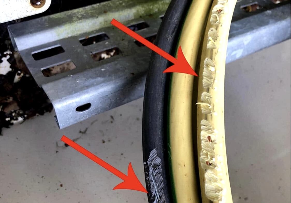 Power continuity generator cables chewed by mice