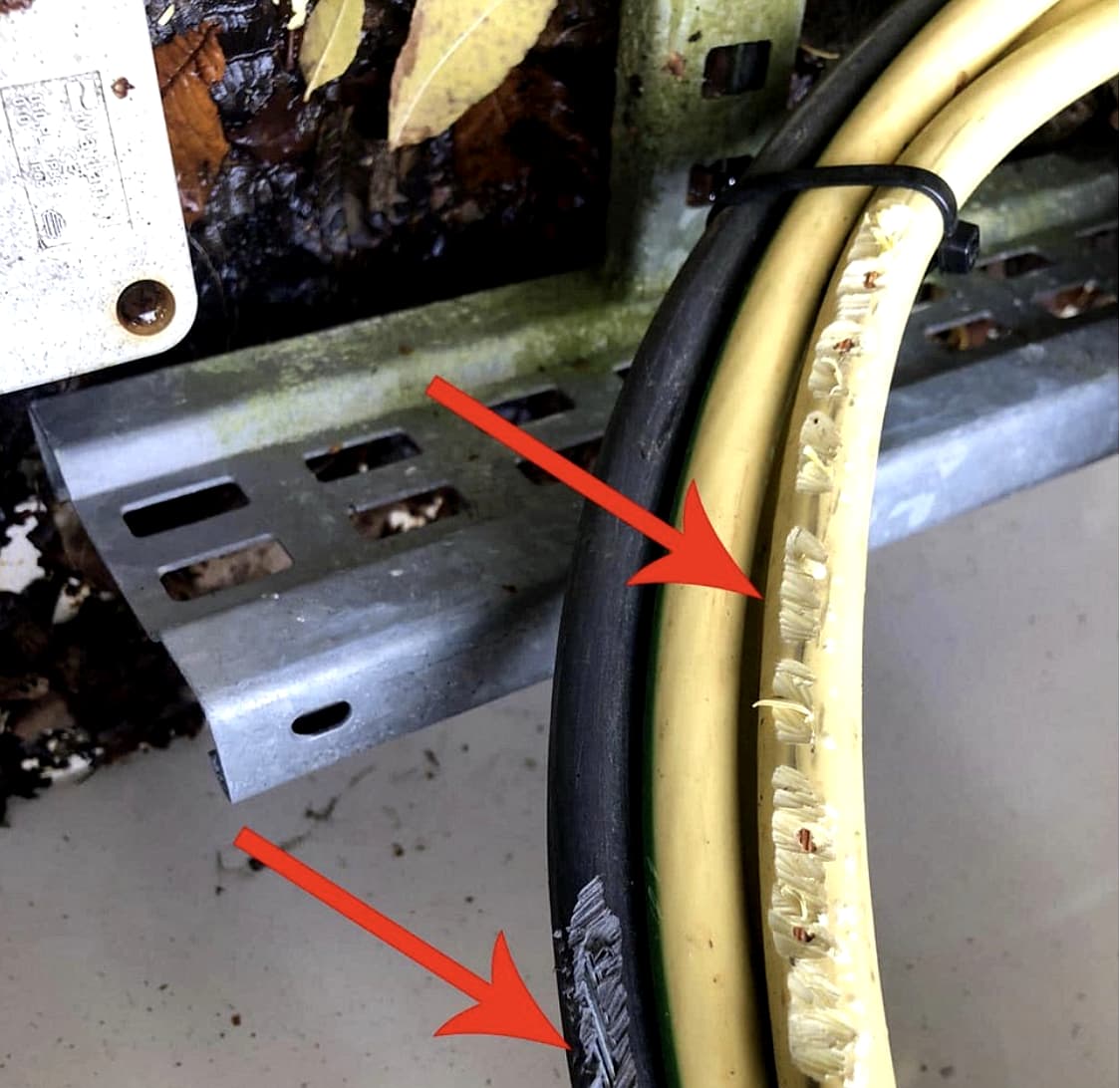 Power continuity generator cables chewed by mice